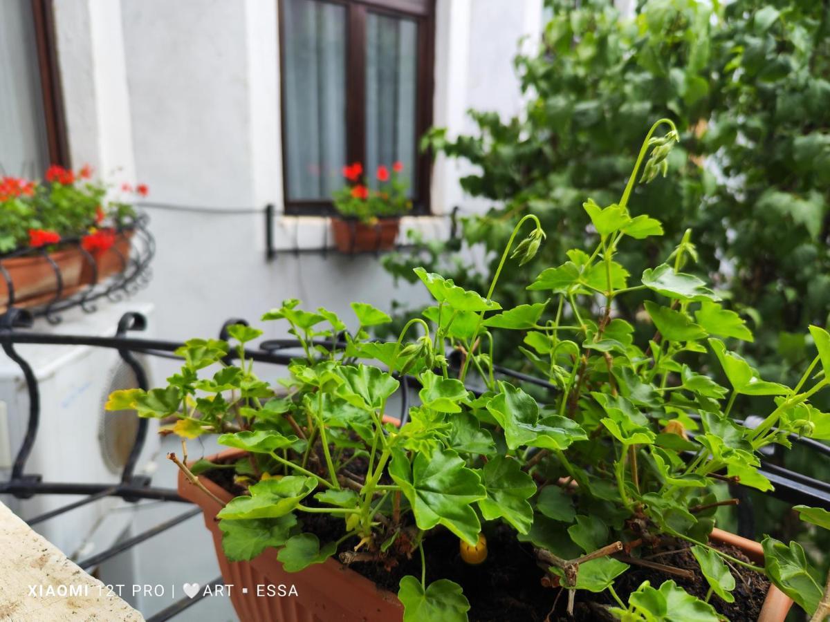 Apartament Buon Gusto,Near Main Square And Liar Bridge,Historical Side Of City Center Сибиу Екстериор снимка