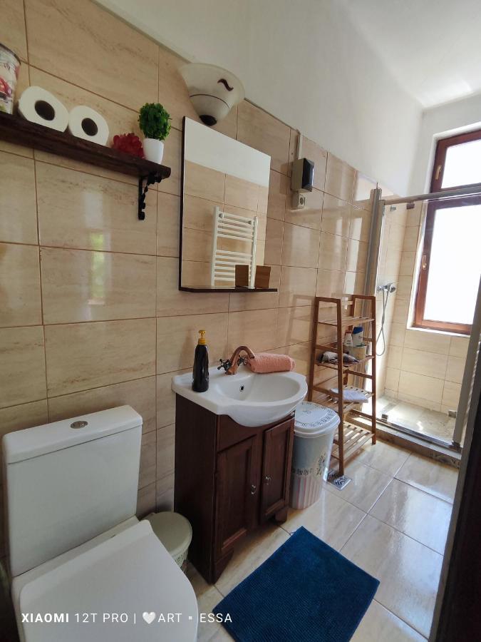 Apartament Buon Gusto,Near Main Square And Liar Bridge,Historical Side Of City Center Сибиу Екстериор снимка